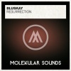 BluSkay - Resurrection (Original Mix)