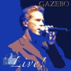 gazebo - The Fourteenth of July (Live)