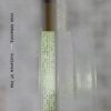 Oren Ambarchi - Salt