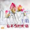 王萌 - 爱情的微光