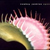Cowboy Junkies - I Did It All for You