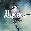Deportees - Not Tonight