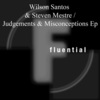 Wilson Santos《Judgements And Misconceptions》[MP3/LRC]