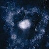 Swans - No WordsNo Thoughts