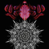 Navicon Torture Technologies - As the Great Bell Tolls, TheSchism Opens, Revealing a World of Birds