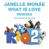 Janelle Monáe《What Is Love (Elephante Remix)》[MP3/LRC]