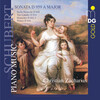 Christian Zacharias - Franz Schubert: Sonata in A major, D 959 (I. Allegro)
