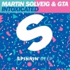 GTA、Martin Solveig - Intoxicated (Original Club Mix)
