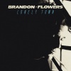 Brandon Flowers - Lonely Town