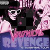 The Veronicas - Everything (Live)