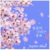 Jupiter Blues - 벚꽃비 나리는 정원 (下樱花雨的庭院)