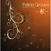 Feline Groove Label - MATADOR