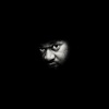 BADBADNOTGOOD、Danny Brown、Ghostface Killah x Afrofunk - Six Degrees
