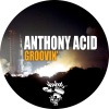 anthony acid - Groovin' (Original Mix)