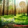 London Philharmonic Orchestra、Constantin Silvestri - Symphony No. 8 in G Major, Op. 88: I. Allegro con brio (Poco meno mosso)