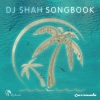 DJ Shah、Aruna - Now Or Never (Original Mix)