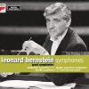 Leonard Bernstein、Ludwig van Beethoven、New York Philharmonic《I. Allegro ma non troppo, un poco maestoso》[MP3/LRC]