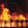 sleigh bells - Comeback Kid