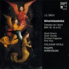 Philippe Herreweghe、Collegium Vocale - Johann Sebastian Bach: Cantata No. 36, 