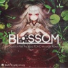 Studio “Syrup Comfiture” - a blossom (Radio Edit)