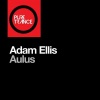 Adam Ellis - Aulus (Original Mix)