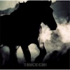 THE BACK HORN - 月光