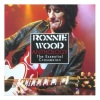 Ronnie Wood - Can Feel the Fire