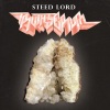 Steed Lord - Oh Lord