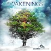 Audiomachine - Tree of Life