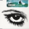 Chicane《Saltwater (Original Radio Edit)》[MP3/LRC]