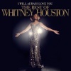Whitney Houston - You Give Good Love