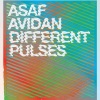 Asaf Avidan《Different Pulses》[MP3/LRC]