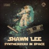 shawn lee - AJ's Mood