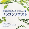 椙山浩一 - 世界をまわる (街～ジパング～ピラミッド～村)