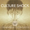 Culture Shock - I Remember