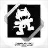 Stephen Walking - Some Kinda Wizard