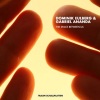 Dominik Eulberg、Gabriel Ananda《The Space Between Us (Original Mix)》[MP3/LRC]