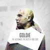 Goldie、Rufige Kru - Malice In Wonderland