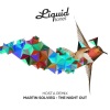 Martin Solveig - The Night Out (Hosta Remix)