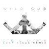 Wild Cub、Lost Kings - Colour (Lost Kings Remix)