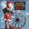 The Chicks《Irish Medley》[MP3/LRC]