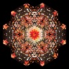 gold panda - Junk City II