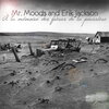 Mr. Moods、Vicky Flint - Free again (Original Mix)
