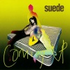 Suede - Trash