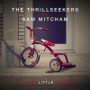 The Thrillseekers、Sam Mitcham - All The Little Things (Original)