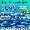 一乐 - Life Is Wonderful