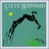 Steve Winwood - While You See a Chance