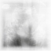 Good Weather For An Airstrike - Lungs