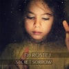 Dj Rostej - Secret Sorrow (Original Mix)