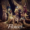 Flower - 秋風のアンサー (秋风的答案)
